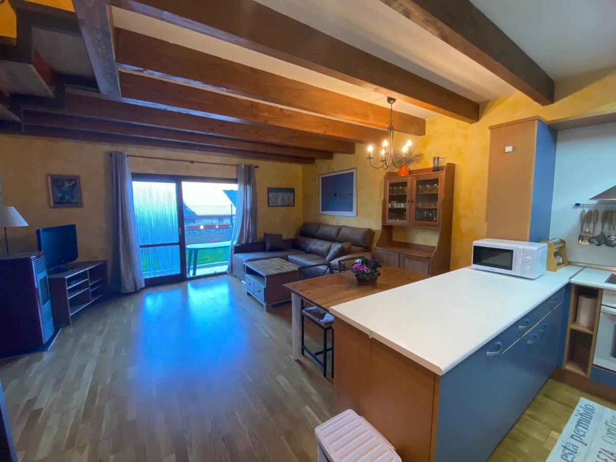 Appartement Duplex Altos De Santiago Jardin à Villanúa Extérieur photo